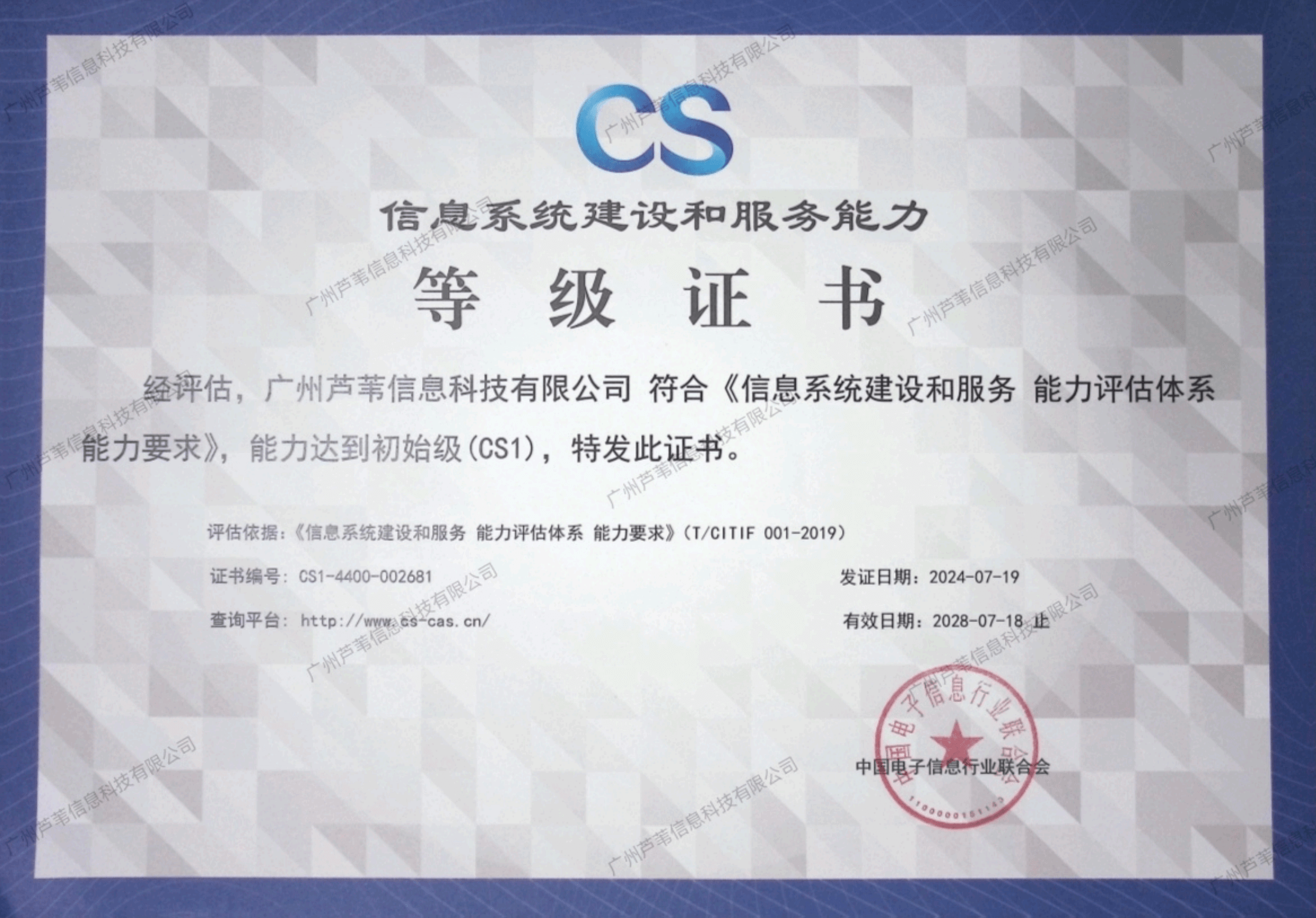 Information system construction and service capacity