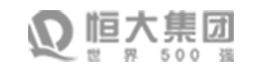 Partner 5